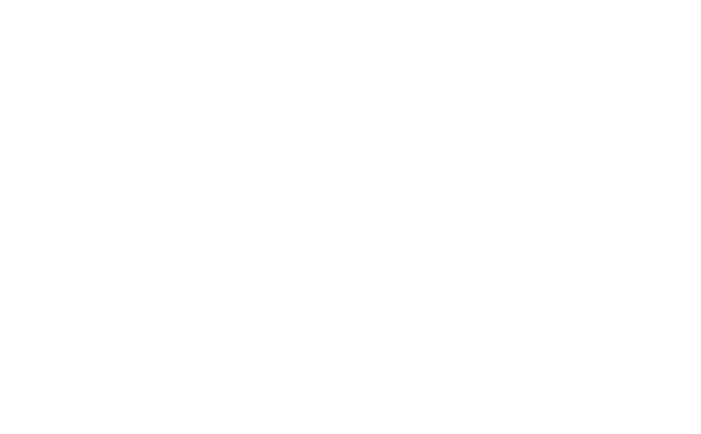 MEI logo